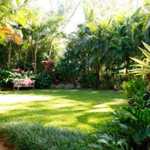 Jardineria en Panama