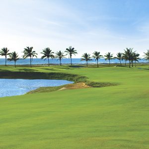 grama para campos de golf en Panamá