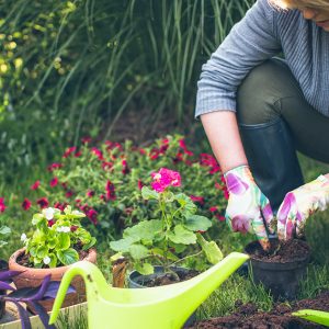 beneficios para la salud de la jardinería