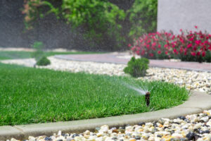 Tipo de grama para jardin en Panamá