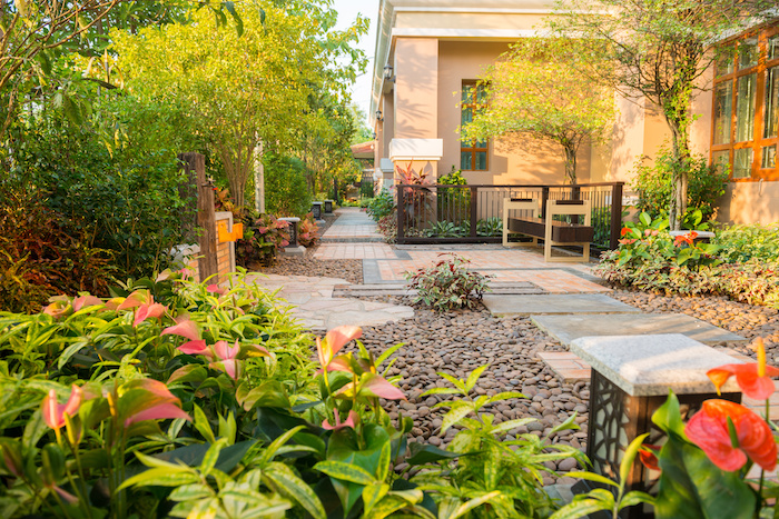 diseñadores de patios y jardines en panamá