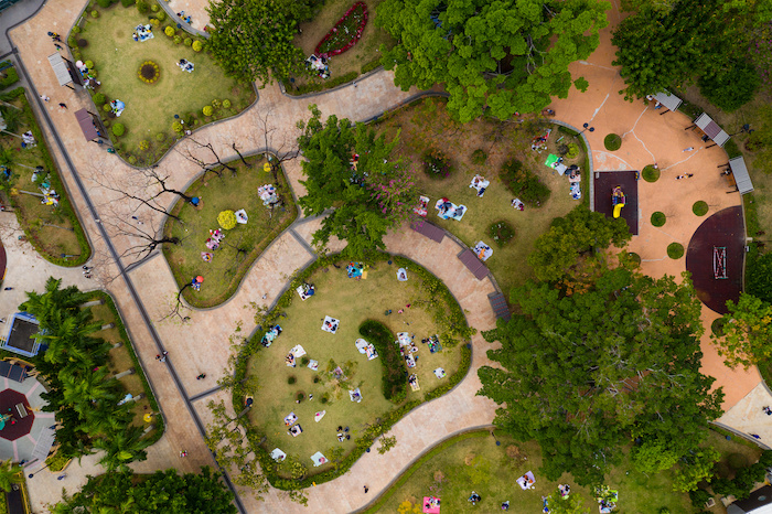 Tipos de gramas para jardín en Panamá