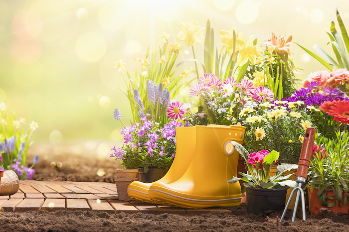 venta de plantas y flores en Panamá