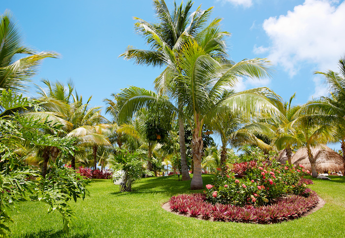 diseño de un jardín pequeño en Panamá