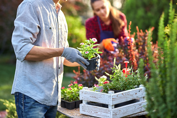 Tipos de jardines exteriores en Panamá