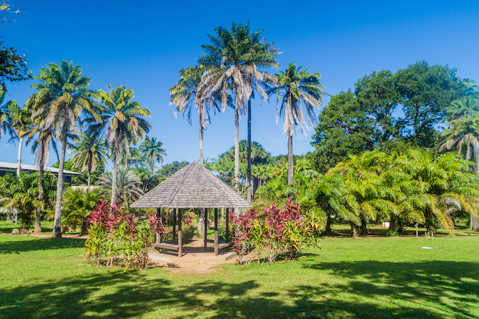 jardín tropical en panamá